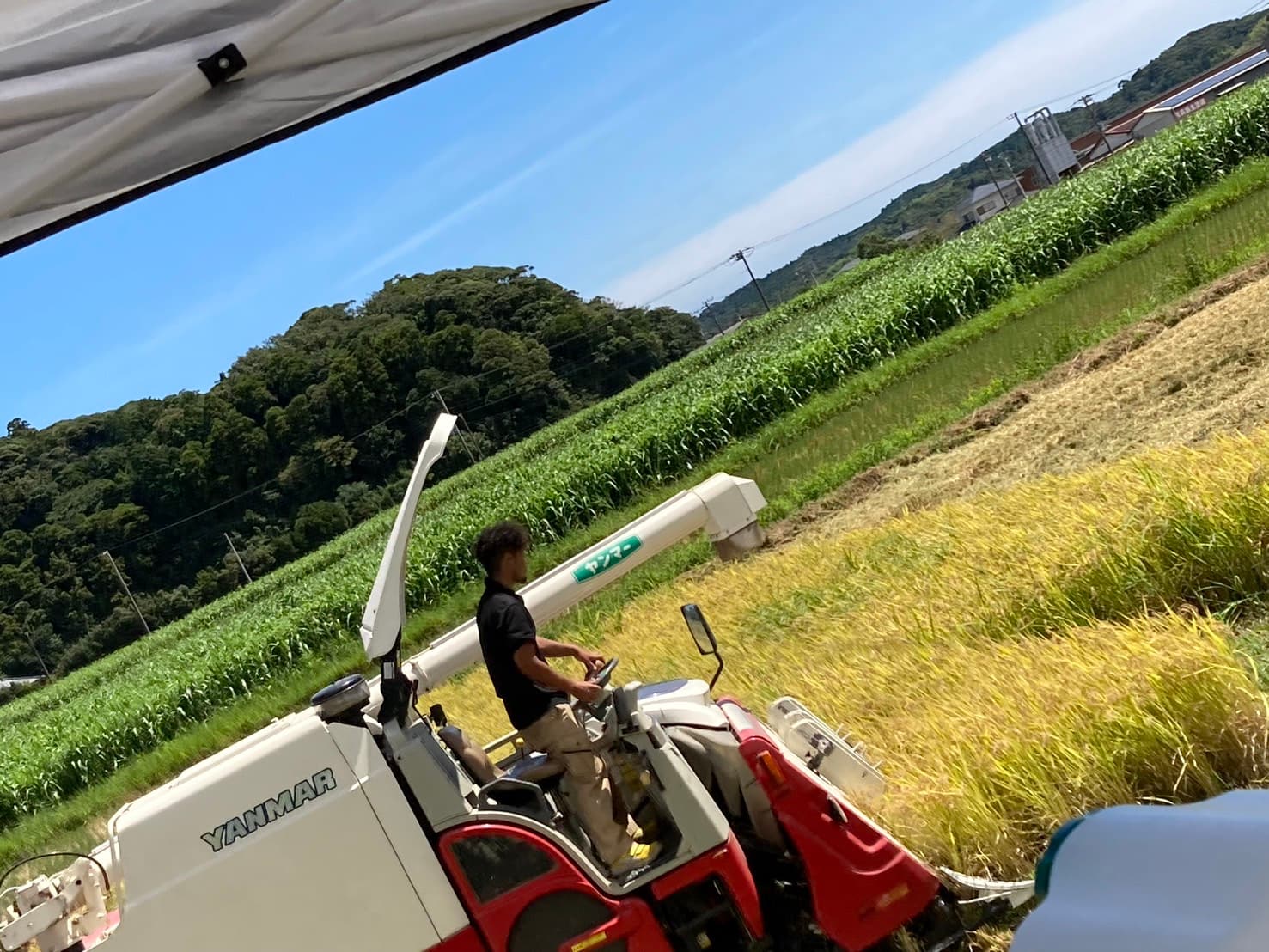 トラクターでの整地